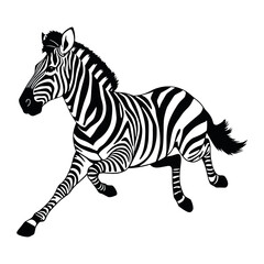Obraz premium a running zebra animal vector silhouette isolated white background