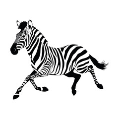 a running zebra animal vector silhouette isolated white background
