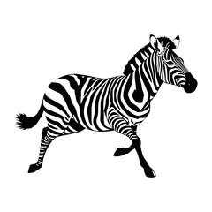Fototapeta premium a running zebra animal vector silhouette isolated white background