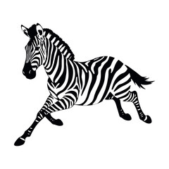 Naklejka premium a running zebra animal vector silhouette isolated white background