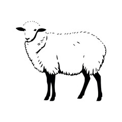 a sheep vector silhouette, stylish pose, fill with black colour isolated white background