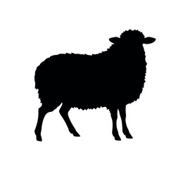 a sheep vector silhouette, stylish pose, fill with black colour isolated white background