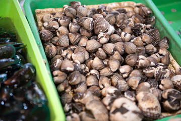 Fresh raw sea cockles clams display for sale at seafood market or Thai street food use for cook steamed blanched cockles clams