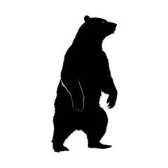 a standing bear silhouette, white background