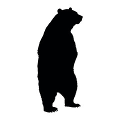 a standing bear silhouette, white background