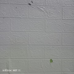 Wall color white 