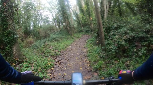 Riding a mountain bike, rider point of view between trees in a beautiful landscape trail in Girona forest, Catalonia