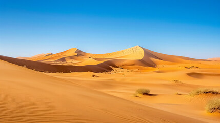 A vast desert landscape with towering sand dunes beneath a clear blue sky.