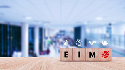 EIM Enterprise information management system on wooden cubes, EIM Global Network with Analyzing Technological Data, Efficient Information Management.
