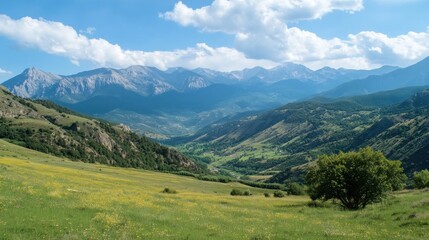Obraz premium A panoramic view of a valley in the mountains, with a green field in the foreground, a river running through the valley, and a blue sky with white clouds overhead.