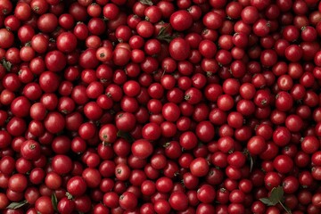 Freshly Harvested Cranberries Spread out on a Flat Surface Ready for Sale During the Fall Season in a Local Market