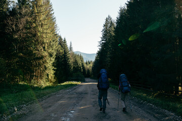 Obraz premium walk in the park