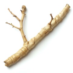 Fototapeta premium Plai root (zingiber cassumunar), isolated on white background, perfect pastel tone, whimsical style, high resolution, professional create, very detailed, high quality