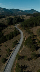 A winding paved road among a coniferous green forest in autumn in the mountains of Western Serbia, near Zlatibor. Aerial drone view shot. Scenic landscape view of a mountainous region.