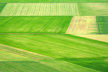 Aerial photo of a multicolored and fertile cultivated field during spring season