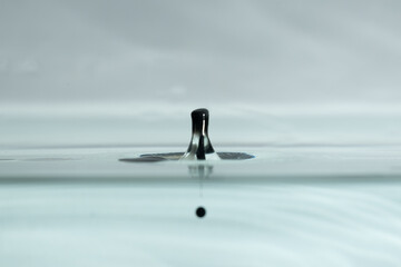 farbe tropfen wasser schwarz
