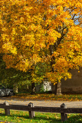 Naklejka premium Autumn view of the city, wooden fence. Kuldiga, Latvia