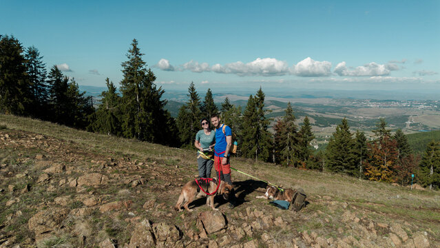 A young couple of travelers are staying on Tornik Mountain with two happy dogs and smiling. Aerial view from a drone. Beautiful nature of Western Serbia in early autumn. Hiking in the with dogs.