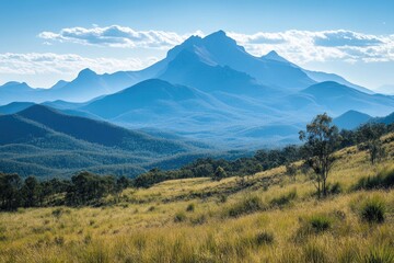 Fototapeta premium Mount barney national park showing layers of mountains at sunrise with grass and trees in queensland, australia