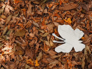 Silver butterfly paper on dry leaf background for copy space about environmental color    