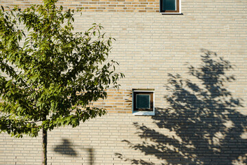 A tree standing in front of a building
