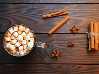 Glass mug of sweet spicy cocoa with marshmallow on dark wooden table. Hot chocolate with cinnamon on rustic background. Winter drinks, dessert, coffee shot menu concept