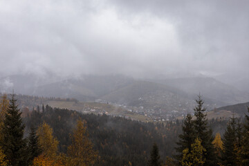 autumn forest in mountains, colorful trees  in the carpathians. nature, ukraine