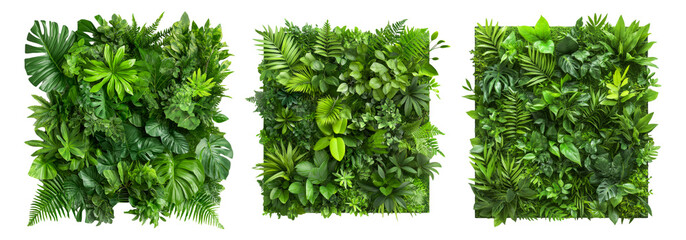 Tropical Green Plant Wall Decor Panels Isolated on White Background Lush Foliage Nature Vertical Garden Interior Design Biophilia Concept Jungle Plants Fern Monstera Philodendron for Urban Greenery