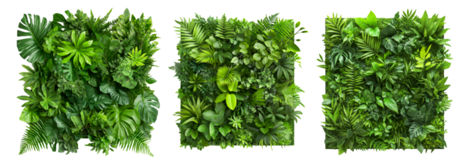 Tropical Green Plant Wall Decor Panels Isolated on White Background Lush Foliage Nature Vertical Garden Interior Design Biophilia Concept Jungle Plants Fern Monstera Philodendron for Urban Greenery