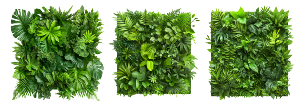 Tropical Green Plant Wall Decor Panels Isolated on White Background Lush Foliage Nature Vertical Garden Interior Design Biophilia Concept Jungle Plants Fern Monstera Philodendron for Urban Greenery