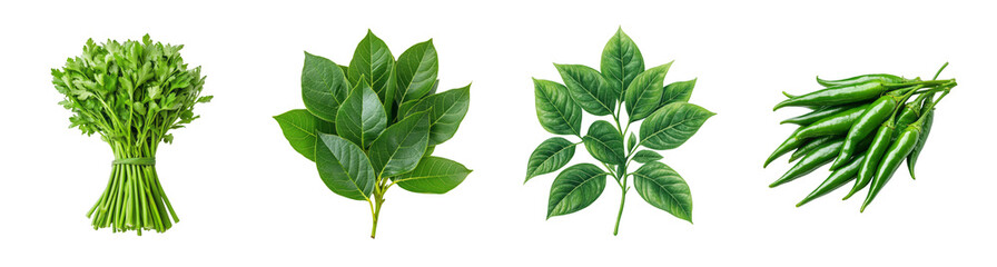 Fototapeta premium A collection of fresh herbs and green chili peppers isolated on a transparent background, perfect for culinary and festive uses