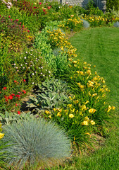 kolorowa rabata kwiatowa otoczona niskimi liliowcami odmiany Stella d'Oro, kwietnik otoczony obwódką z żółtych liliowców, Hemerocallis, Stella D'Oro Daylily Garden
