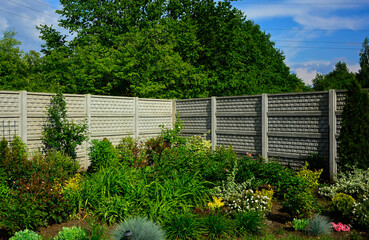ogród otoczony murem, krzewy i byliny w ogrodzie, garden with a gray wall, shrubs and perennials in the garden with a concrete wall, concrete wall and garden bed with grass and plants © kateej