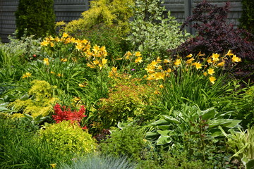 ogród, krzewy, byliny, trawnik, rabata kwiatowa, zielony, kolorowe, ozodbne, w ogrodzie, otoczony, słonecznie, wiosna, pieknie, kwiat, krajobraz, roślin, architektura zieleni, ogrodnictwo, beautiful g © kateej