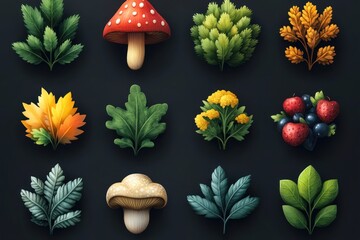 A collection of illustrated leaves, mushrooms, and berries on a dark background.
