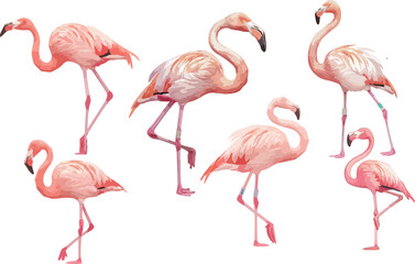 flamingo watercolor clipart  © dian's