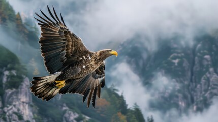 Fototapeta premium Capturing a majestic eagle soaring above the mountains