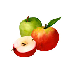 Juicy red and green apple, watercolor realistic botanical illustration, for prints, invitations, postcards to the autumn holidays Thanksgiving, harvest festival, farmer's market, kitchen, menu