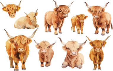 Image of  boho baby highland cow watercolor clipart printed on Printed Glass Splashbacks