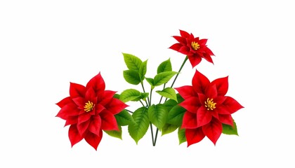 Obraz premium Red Poinsettia Plant