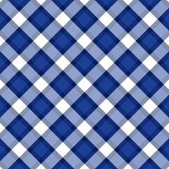 blue and white checkered tablecloth