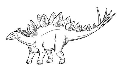 Vector line art illustration of dinosaur Stegosaurus. Black and white outline. © Alex LimeJelly