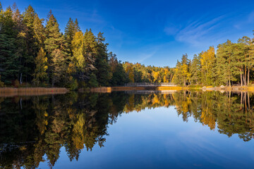 autumn trees reflected in water