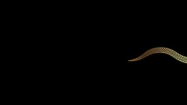 Animation of a traditional Chinese snake flying along the frame, space for text in Chinese style for 2025 New Year greetings, Chinese New Year celebration. Golden snake on black and green screen 