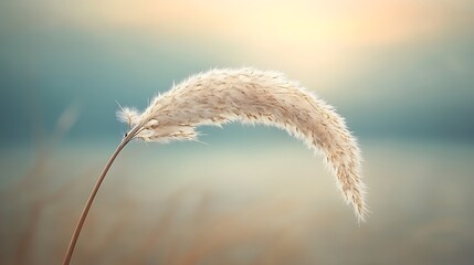 Nature Background, Grass, Blurred Subtle Blur Background with Space for Custom Text