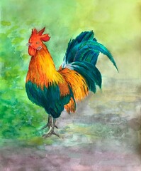 Fototapeta premium Watercolor Rooster