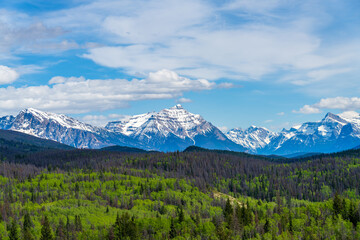 Obraz premium Jasper National Park Canadian Rockies nature scenery. Alberta, Canada. Forest and snow capped mountains in summer. View from Old fort point trailhead.