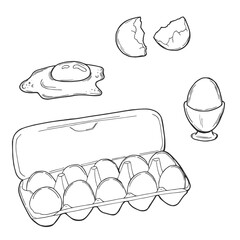 Chicken eggs in a carton pack. Eggs in an opened box. Hand-drawn vector illustration of an egg container Isolated on a white background.