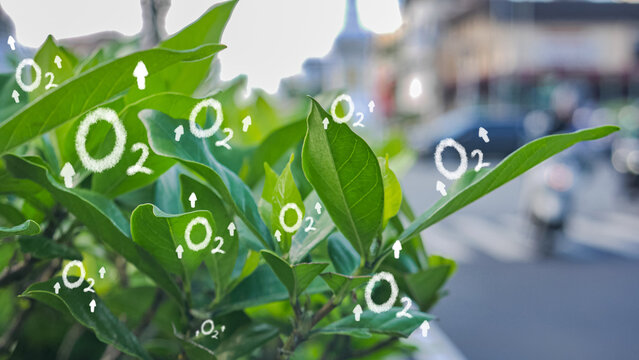 O2 Oxygen molecule bubbles. the concept of leaves releasing oxygen and water.