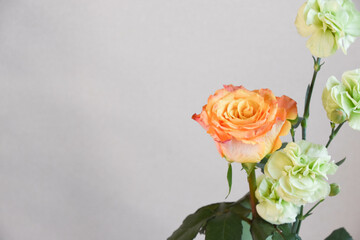薔薇とカーネーション